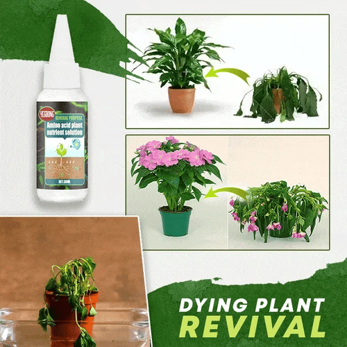 đ„Summer Hot Sale- 48% OFF - Plant Nutrient Solution