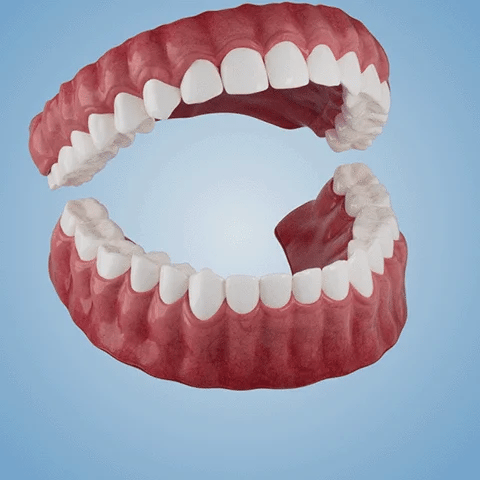 Bikendaā¢-š¦·Advanced Customized Full Denture Setš¦·-The Royal London Dental Hospital accreditation(ā°Limited Time Discount Last 30 Minutesā°)šš