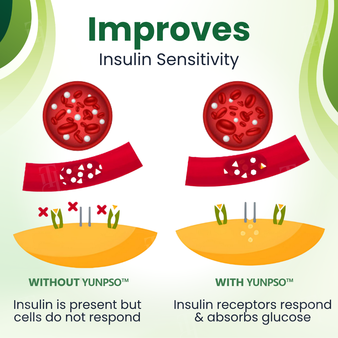 🌟 Official Store | YUNPSOTM Glucose Control Spray🌿Transform Your Blood Sugar Management✅Reclaim Your Energy and Health!