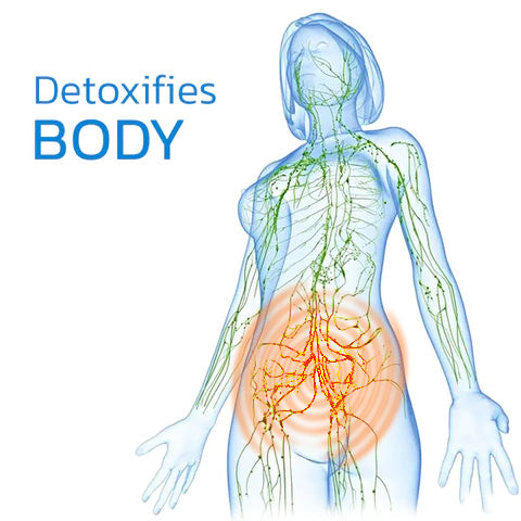 đFree Shipping Today OnlyđGraphene Honeycomb Vaginal Tightening & Body Shaping Briefs