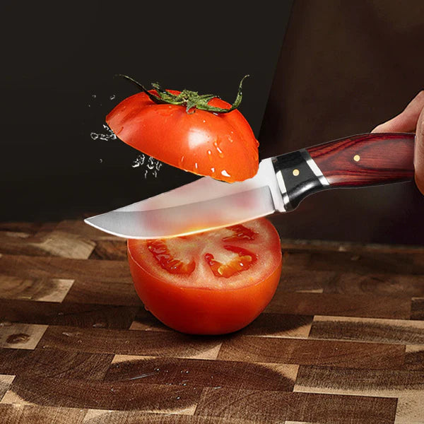 Portable Boning Knife with Sheath