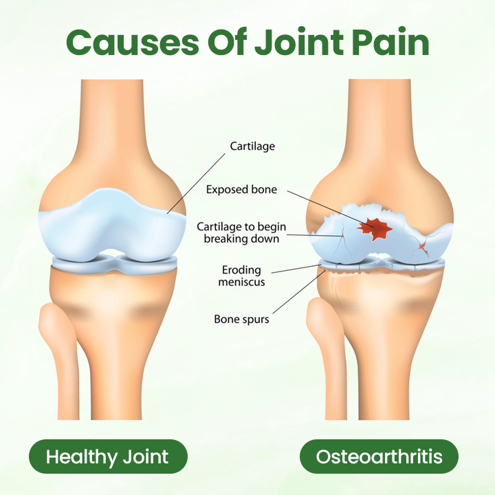 Timilk® MoxaKnee Herbal Relief Patch