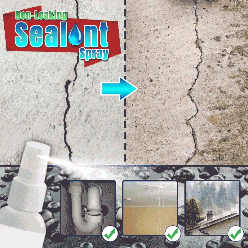 Protective Sealant Spray