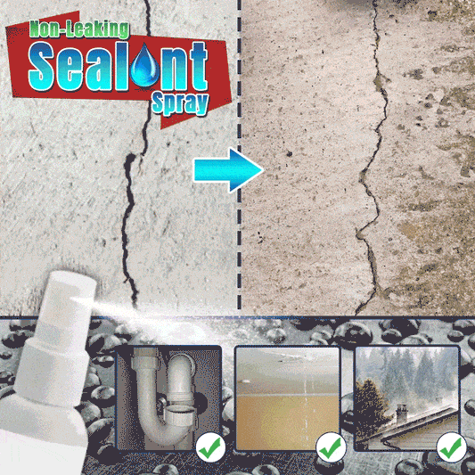 Protective Sealant Spray